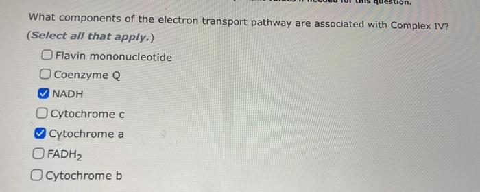 Solved question. What components of the electron transport | Chegg.com