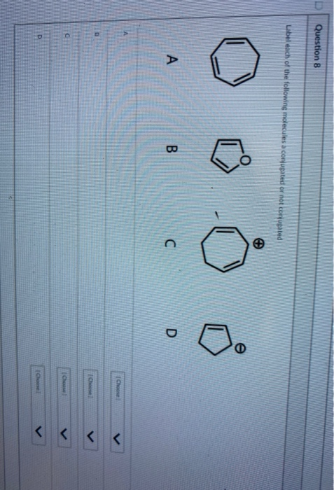 Solved Question 8 Label each of the following molecules a | Chegg.com