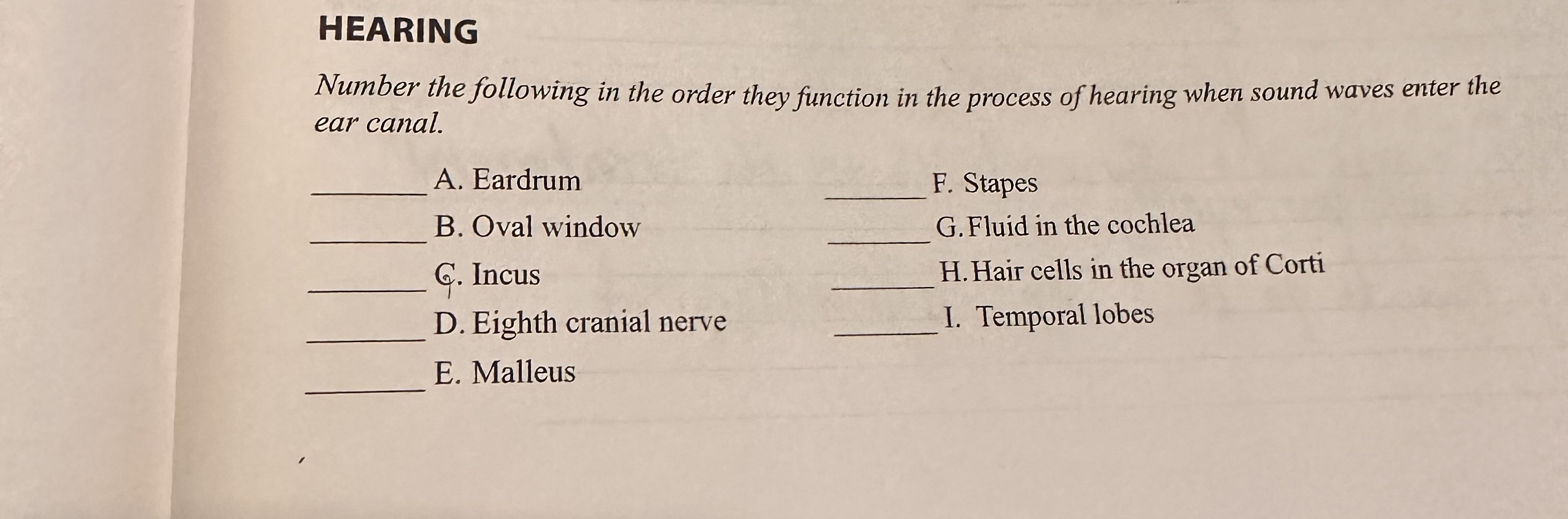 Solved HEARINGNumber the following in the order they | Chegg.com