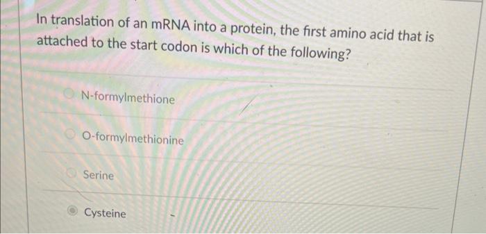 Solved In translation of an mRNA into a protein, the first | Chegg.com