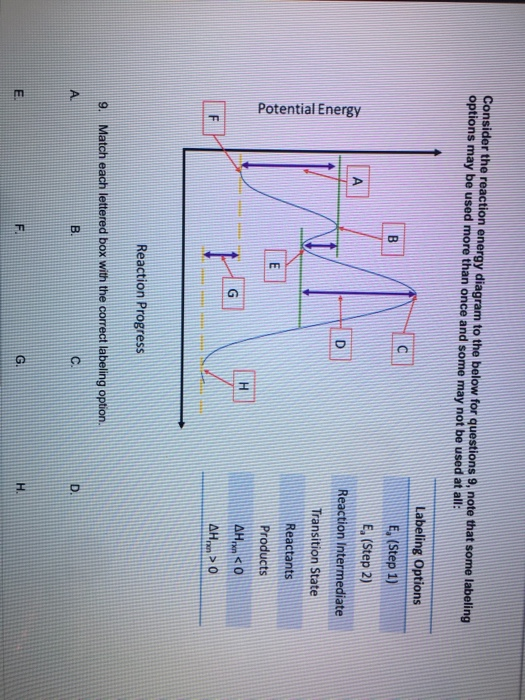 Solved Consider The Reaction Energy Diagram To The Below For | Chegg.com