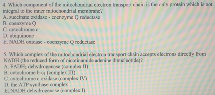 Solved 4. Which component of the mitochondrial electron | Chegg.com