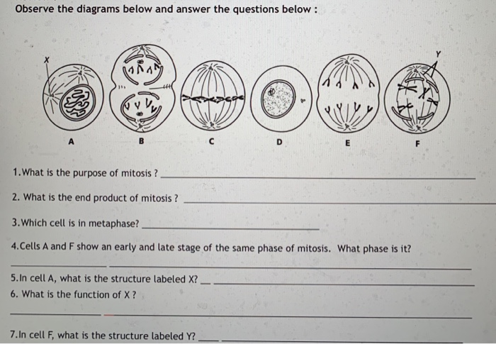 Observe The Diagrams Below And Answer The Questions Chegg Com
