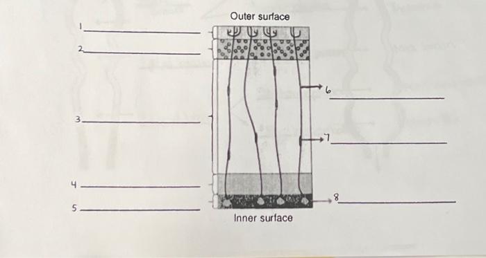 Solved Outer surface 5949 Inner surface | Chegg.com
