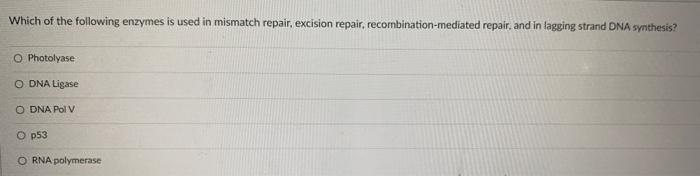 Solved Which of the following enzymes is used in mismatch | Chegg.com