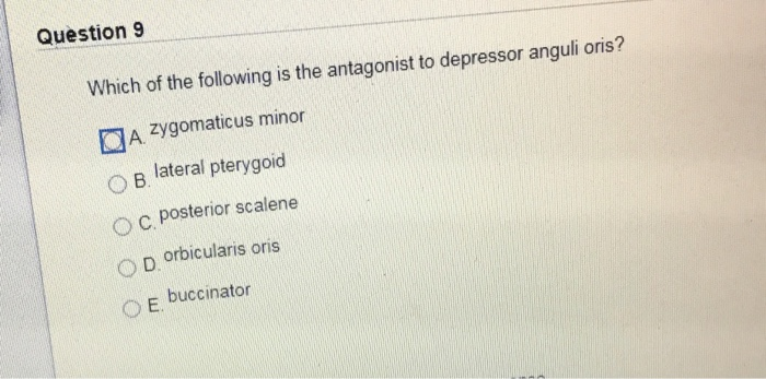 Solved Question 9 Which of the following is the antagonist Chegg