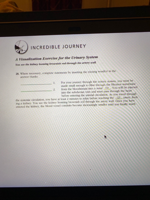 Incredible Journey A Visualization Exercise For The Skeletal System