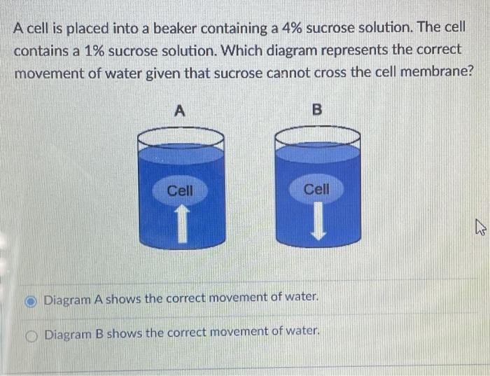 solved-which-part-in-this-process-shows-an-increase-in-chegg