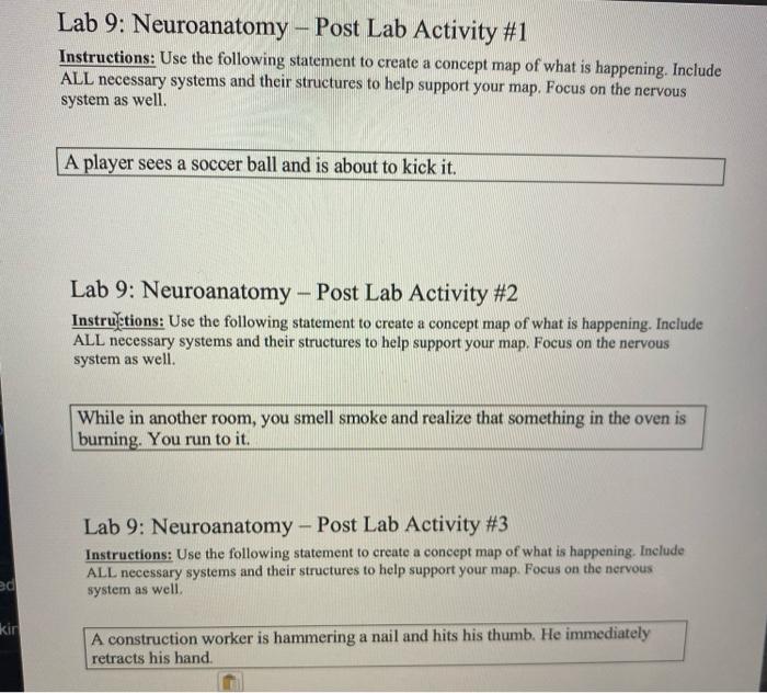 Solved Lab 9: Neuroanatomy - Post Lab Activity #1 | Chegg.com