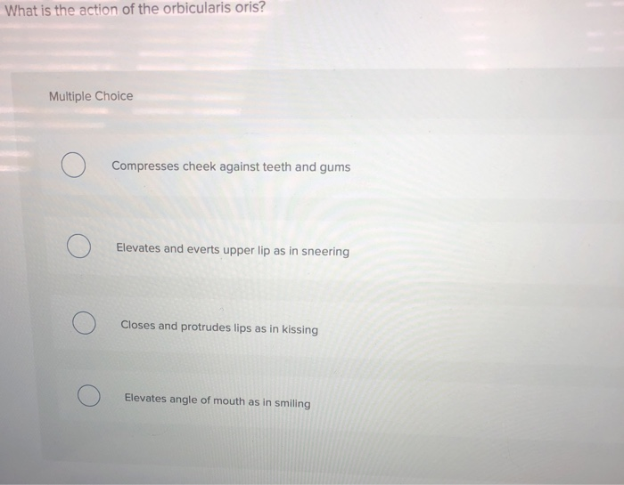 Solved What is the action of the orbicularis oris Multiple