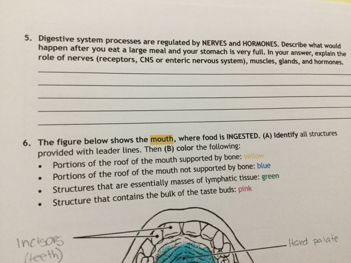 Introduction Check Your Mouth