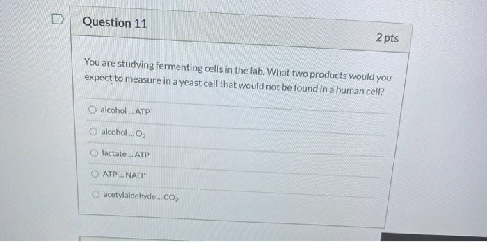 Solved Question 35 2 pts All of the following are true about | Chegg.com