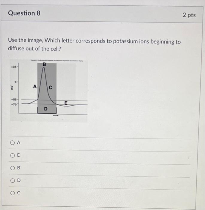 Solved Use the image. Which letter corresponds to membrane | Chegg.com