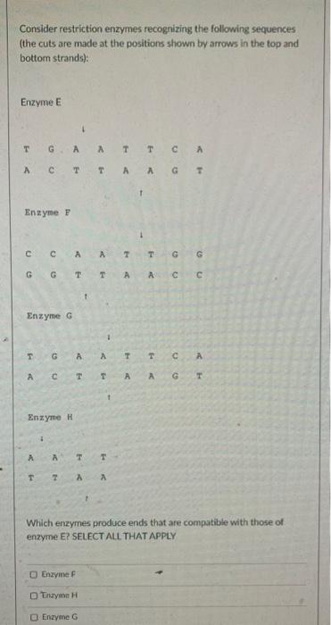 Solved Consider Restriction Enzymes Recognizing The