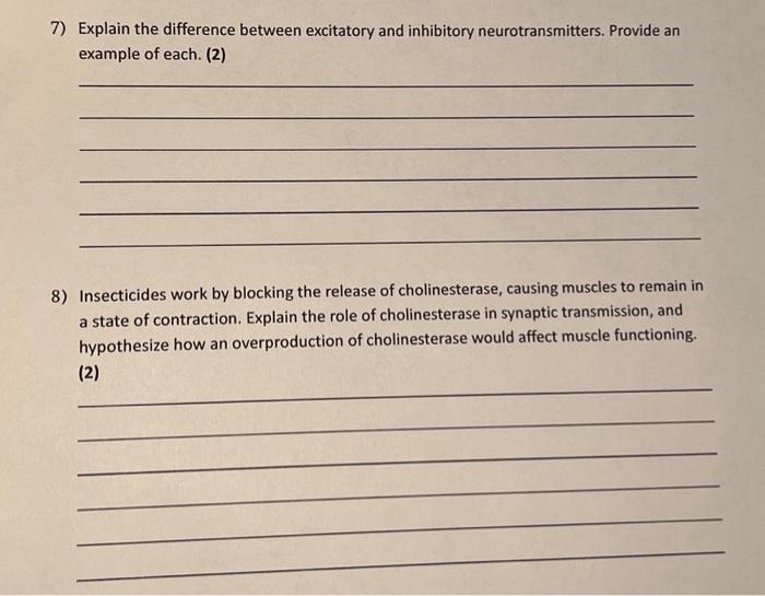 Solved Explain the difference between excitatory and