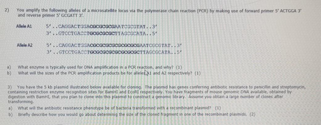 Solved 1) You have sequenced a short fragment of DNA, and | Chegg.com