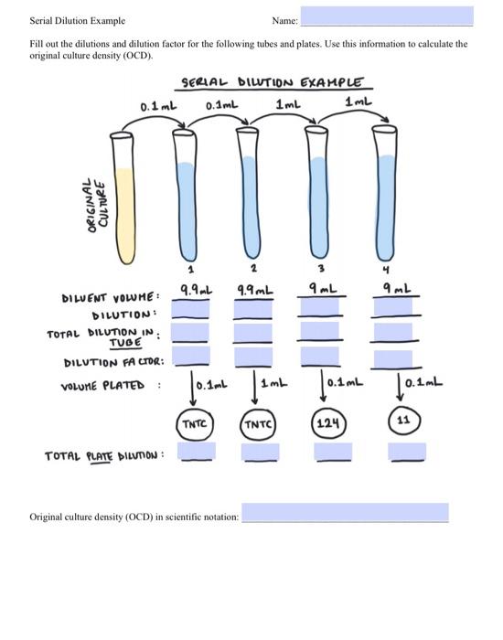 Solved Name Serial Dilution Example Fill out the dilutions
