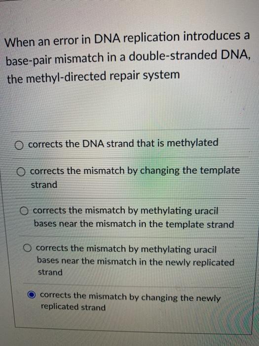 Solved When an error in DNA replication introduces a | Chegg.com
