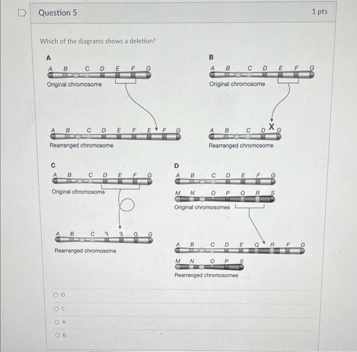 Solved Question 1 1 pts ents Why are mutations important in | Chegg.com
