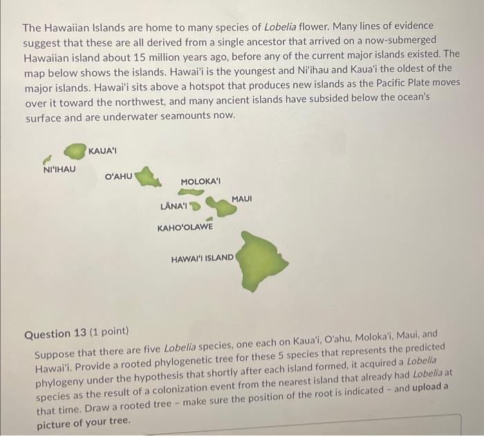 Solved The Hawaiian Islands are home to many species of | Chegg.com