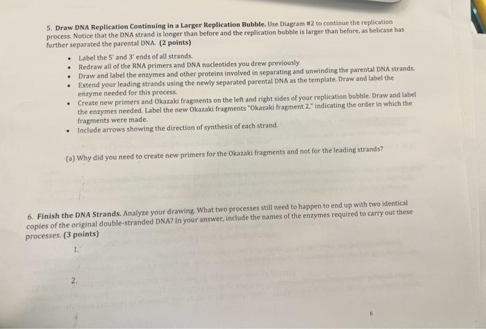 Solved 5. Draw DNA Replication Continuing in a Larger | Chegg.com