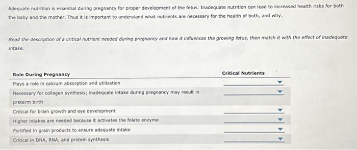 adequate-nutrition-is-essential-during-pregnancy-for-chegg