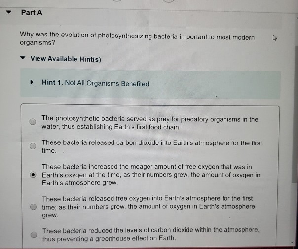 the evolution of photosynthesizing organisms on earth