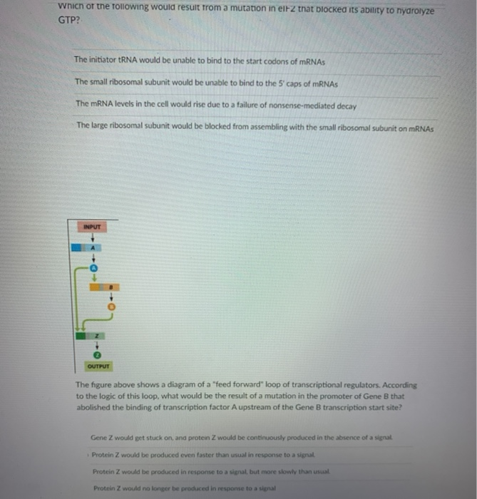Solved which of the following would result from a mutation | Chegg.com
