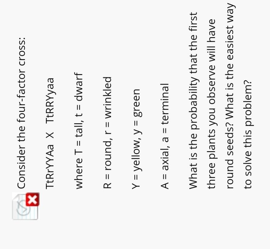 X
Consider the four-factor cross:
TtRrYYAa X TtRRYyaa
where T = tall, t = dwarf
R = round, r = wrinkled
Y = yellow, y = green