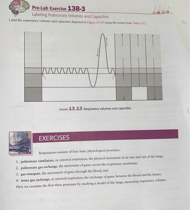 pre lab assignment 13b questions 1 6