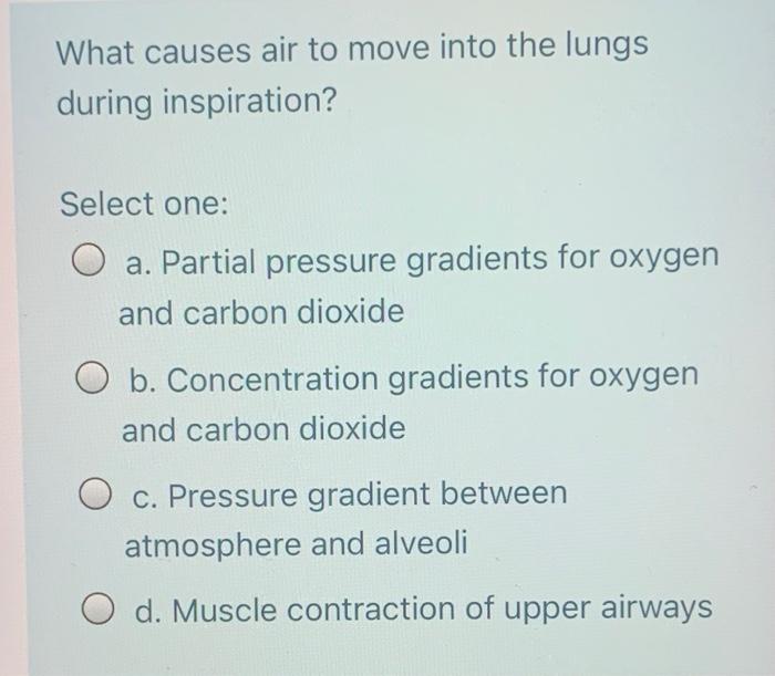Solved The rate and depth of breathing are affected by the | Chegg.com