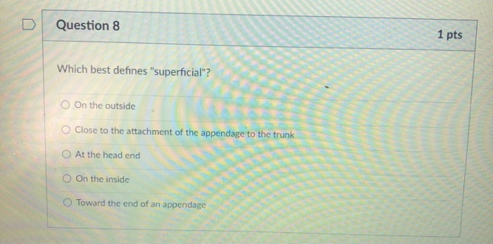 solved-question-8-1-pts-which-best-defines-superficial-on-chegg