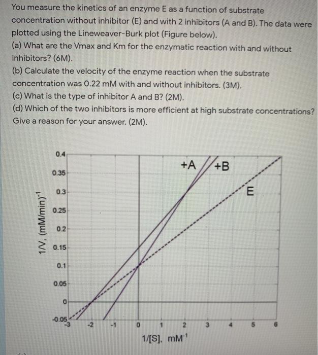 Solved You measure the kinetics of an enzyme E as a function | Chegg.com