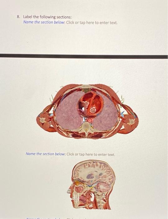 Solved 8. Label the following sections: Name the section | Chegg.com
