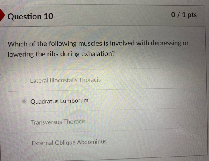 Solved Question 1 0/ 1 pts Which of the following statements | Chegg.com