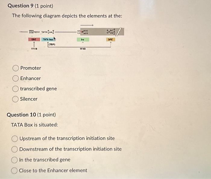 Solved The following diagram depicts the elements at the: | Chegg.com