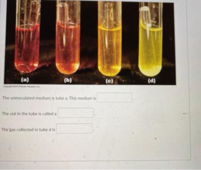 Solved (c) (d) The uninoculated medium is tube a. This | Chegg.com
