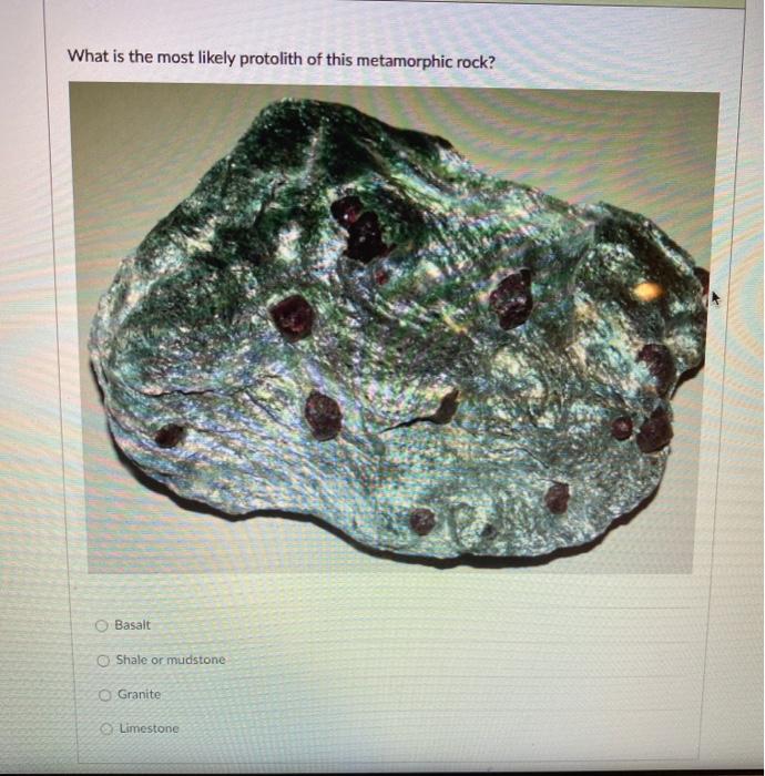 Solved What is the best name for the rock pictured below? | Chegg.com