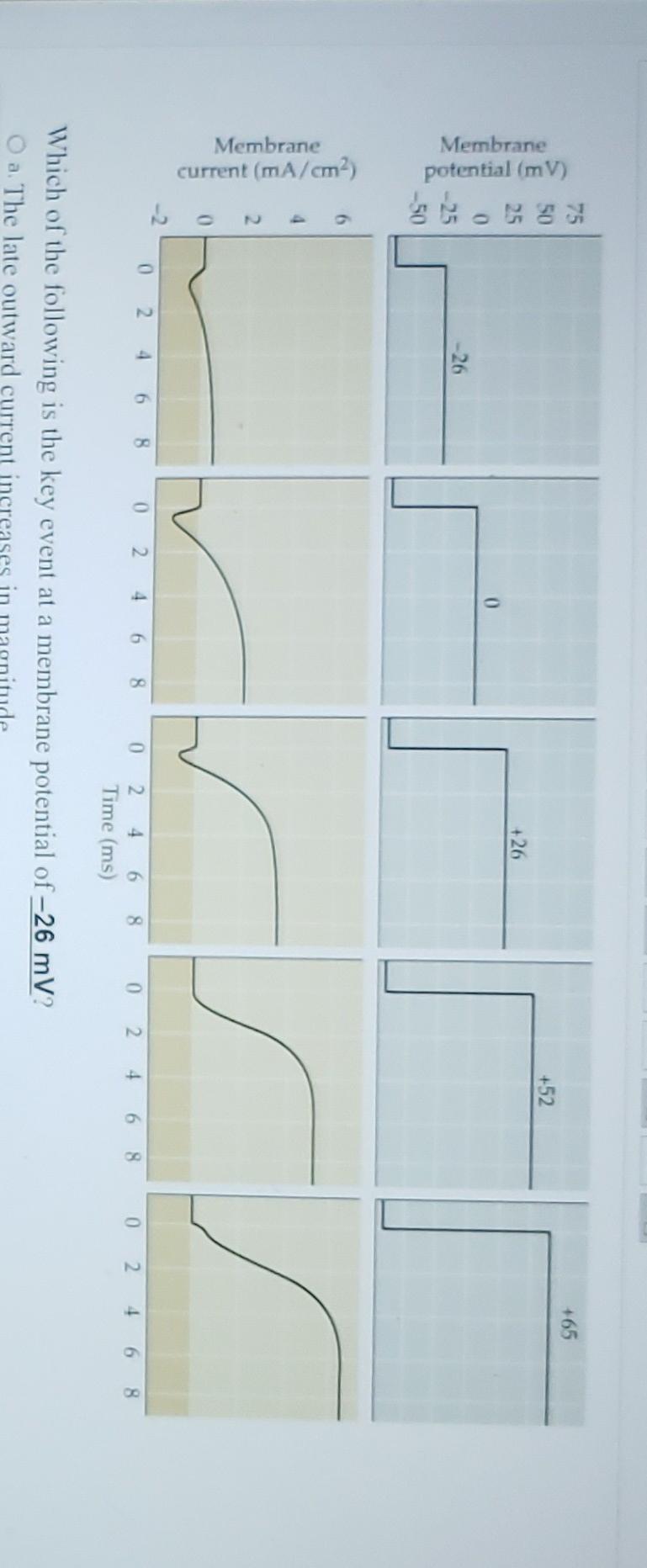Solved Which of the following is the key event at a membrane | Chegg.com