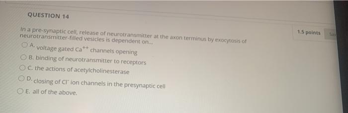 QUESTION 14 1.5 points in a pre-synaptic cell, release of neurotransmitter at the axon terminus by exocytosis of neurotransmi