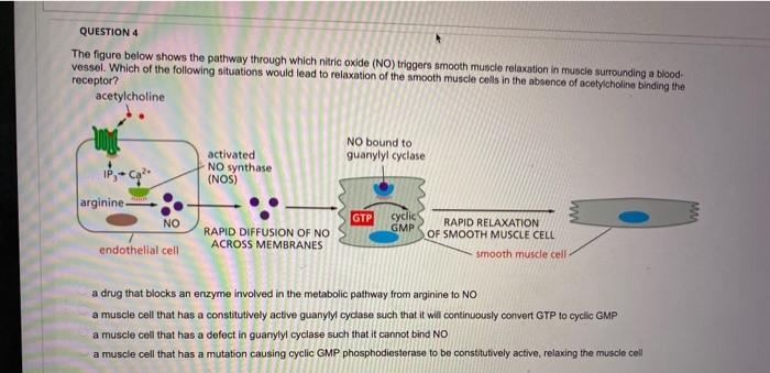 Solved QUESTION 4 The figure below shows the pathway through | Chegg.com