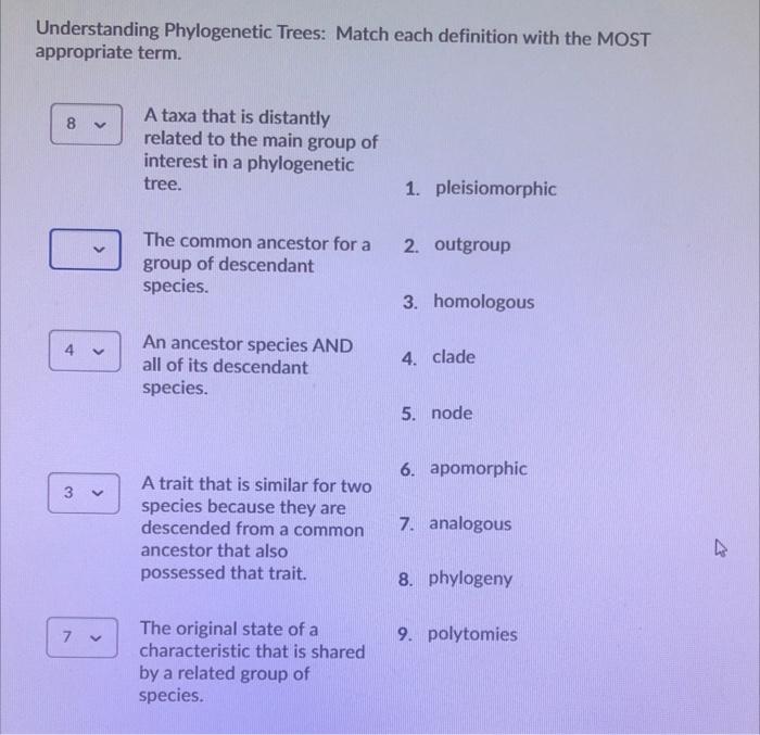 Solved Understanding Phylogenetic Trees: Match Each | Chegg.com