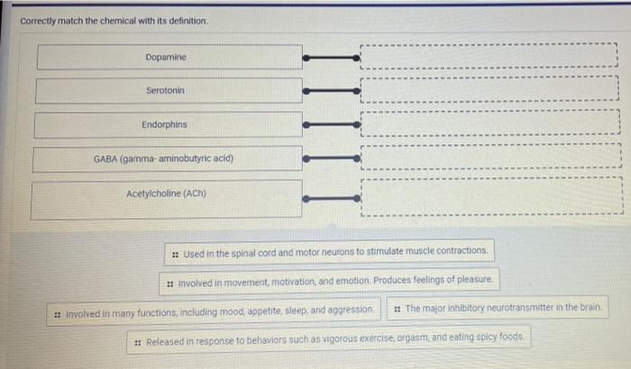 Solved Correctly match the chemical with its definition Chegg