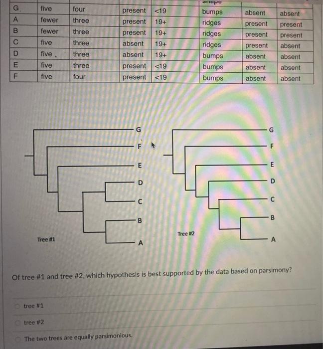 my sister ranked each plant based on tastiness (reupload) : r