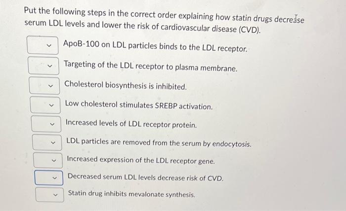 Solved Put the following steps in the correct order | Chegg.com