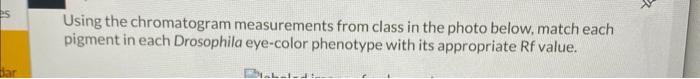 Decipher Your Chromatogram Pigment Matching Simplified - e2c2vb9