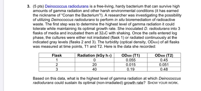 Deinococcus radiodurans Bacteria dish by trilobiteglassworks on