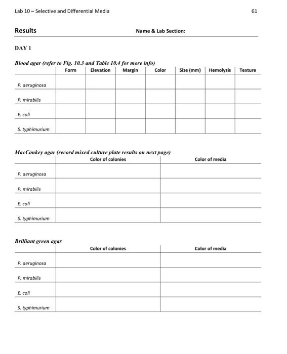 Solved Lab 10 - Selective and Differential Media 61 Results | Chegg.com