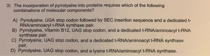 Solved 3) The incorporation of pyrrolysine into proteins | Chegg.com