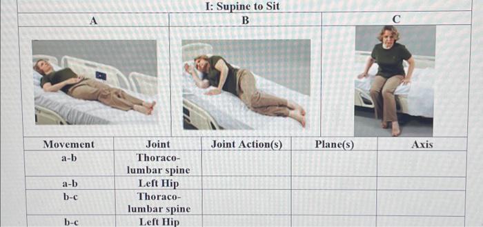 Solved Movement A-b A-b B-c A B-c Joint Thoraco- Lumbar | Chegg.com